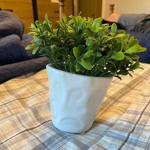 Fake house plant
